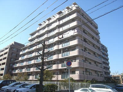 8206画像