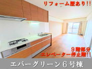 大阪メトロ御堂筋線新金岡駅 中古マンション エバーグリーン金岡 6号棟1680万円 大阪メトロ御堂筋線新金岡駅 中古マンション エバーグリーン金岡 6号棟1680万円